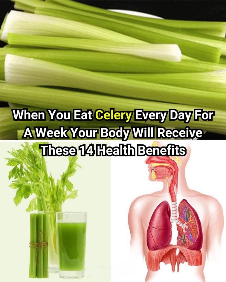 When You Eat Celery Every Day for a Week, Your Body Might Get These 14 Health Benefits