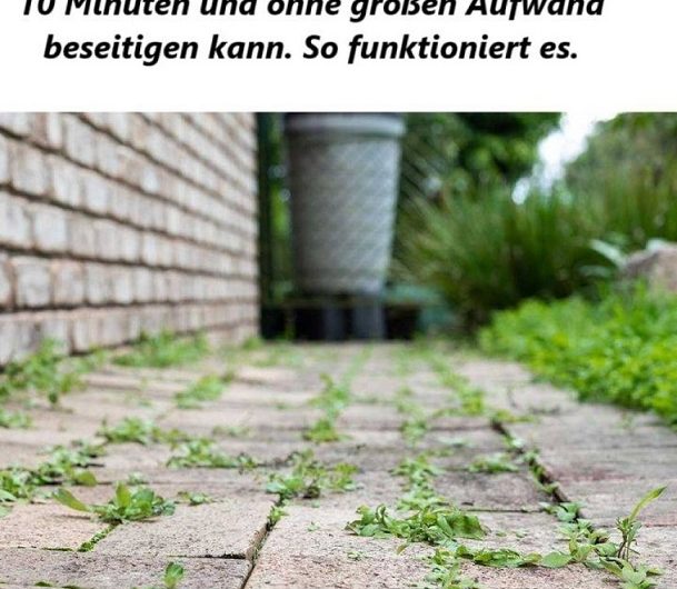 Ich hätte es nie gedacht! Mit diesem einfachen Mittel wird dein Backofen wieder wie neu – ganz ohne Chemie und Schrubben
