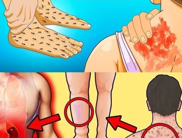 Wenn die Nieren flüstern – und niemand hinhört: 23 leise Warnzeichen, dass Ihr Körper um Hilfe bittet