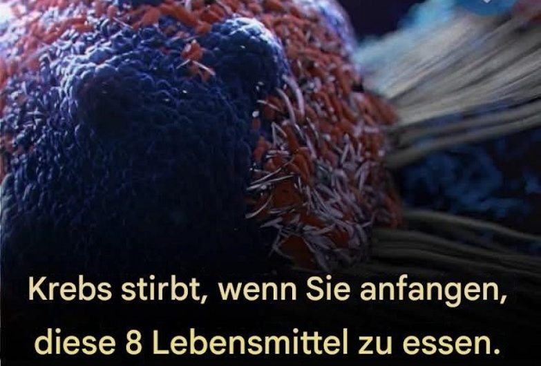 8 Anti-Krebs-Lebensmittel, die mein Leben verändert haben (und wie du sie jeden Tag nutzen kannst)