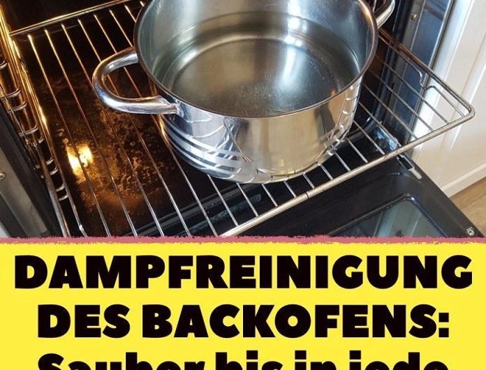 Haushaltstipp: So einfach reinigst du den Backofen mit Wasserdampf – Mein persönlicher Trick, der wirklich funktioniert