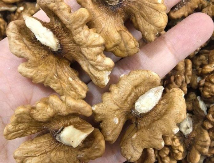 Ärzte enthüllen: Warum der tägliche Verzehr von Walnüssen wahre Wunder wirkt – besonders bei Low-Carb-Ernährung