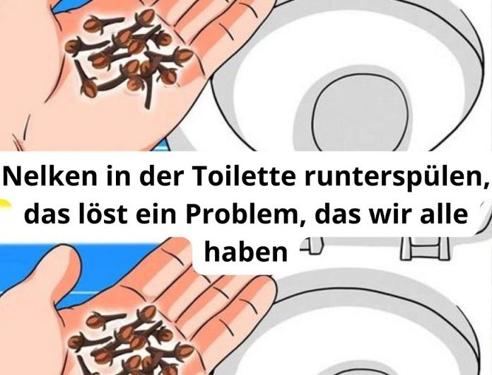 Dieses Nelken-Geheimnis im Badezimmer löst ein Problem, das wir ALLE haben – und niemand sagt es!