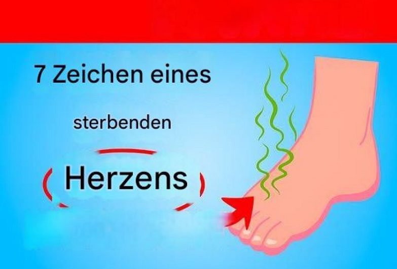 7 Anzeichen dafür, dass Ihr Herz in ernsthafter Gefahr sein könnte – was ich im Laufe der Jahre gelernt habe, einfach indem ich zugehört habe