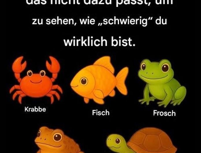 Schummel nicht. Such dir das unpassende Element aus – und hör auf dein erstes Gefühl