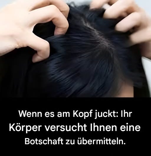 Warum meine Kopfhaut manchmal lauter schreit als meine Kinder – ein ehrlicher Text über Juckreiz, Schuppen und die kleinen Nervenkrisen dazwischen