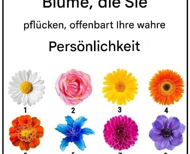 Kein Geschwätz. Die Blume, die Sie pflücken, offenbart Ihren wahren Charakterzug