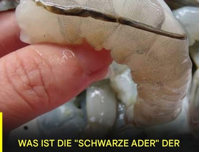 Die „Dornen“ der Garnele – warum dieses kleine Detail in meiner Küche mehr Aufmerksamkeit bekommen hat, als ich je gedacht hätte