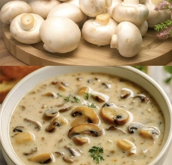 Cremige Pilzsuppe, die Herz und Seele wärmt – ein leiser Klassiker aus meiner Küche