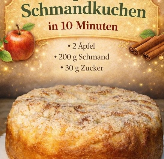 Nur 10 Minuten Vorbereitung: Mein Apfel-Schmandkuchen wie vom Konditor – leicht, saftig und ein echtes Alltagswunder