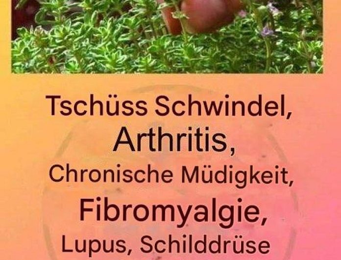 Thymiantee – eine leise Tradition aus der Küche unserer Großeltern und was er heute noch für unser Wohlbefinden bedeuten kann