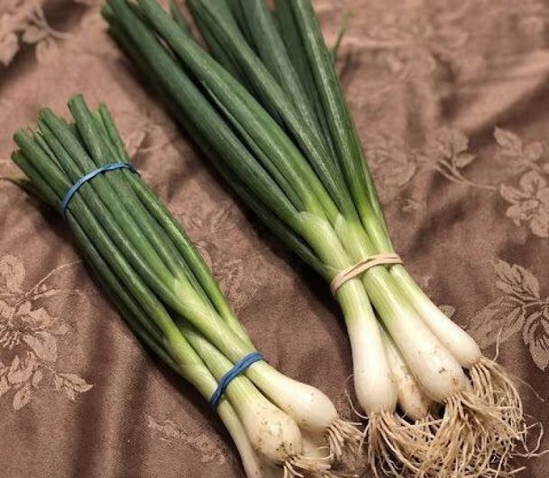 Der feine Unterschied im Grünen – Wie ich lernte, mit Frühlingszwiebeln, Lauchzwiebeln und Schnittlauch richtig zu kochen