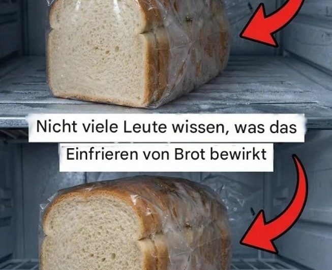 Nie wieder trockenes Brot – mein ausführlicher Leitfaden zum richtigen Einfrieren, Aufbewahren und Auftauen für einen entspannten Familienalltag