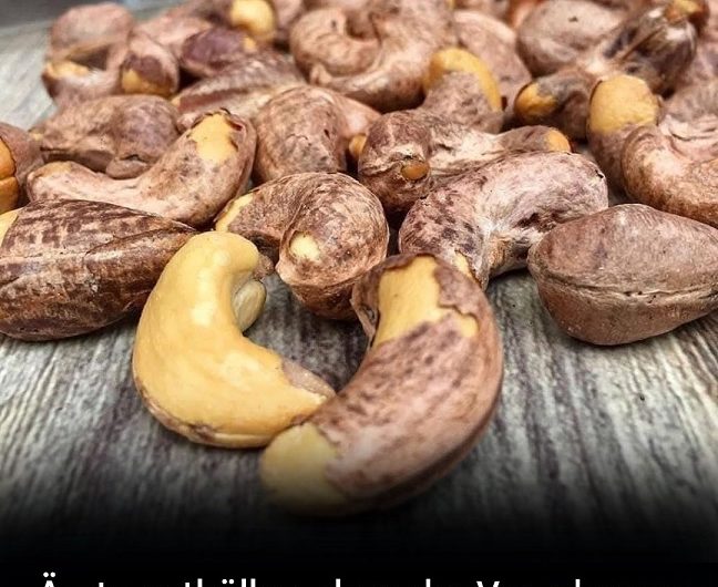 Was wirklich passiert, wenn wir regelmäßig Cashewnüsse essen – eine stille Veränderung im Alltag, die viele unterschätzen