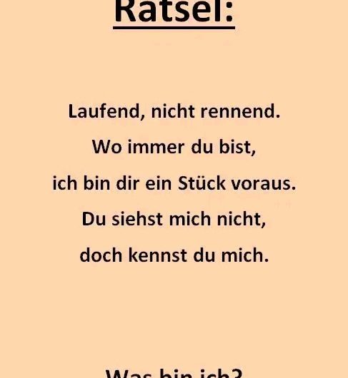 Ein kleines Rätsel, das unseren Kaffeetisch verzaubert hat – warum solche Momente im Alltag plötzlich so wertvoll werden