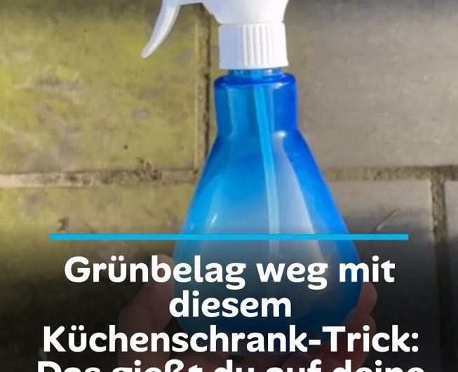 Der einfache Terrassen-Trick aus Omas Küche – So verschwindet Grünbelag mit einem Hausmittel, das fast jeder im Schrank hat