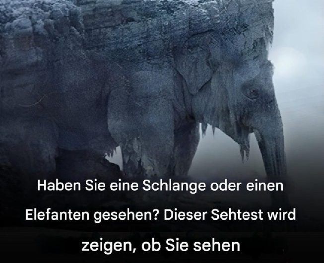 Was haben Sie zuerst gesehen? Das stille Bild im Winter, das plötzlich jeder ganz anders versteht