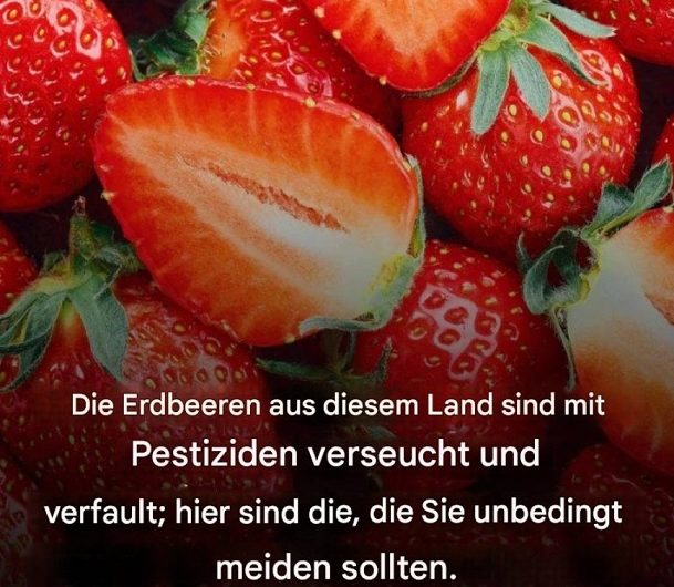 Die dunkle Seite der Erdbeeren: Warum Herkunft plötzlich wichtiger ist als der Geschmack