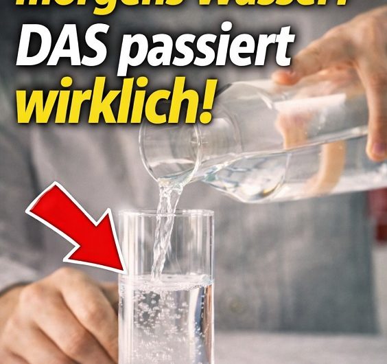 Wussten Sie, dass ein einfaches Glas Wasser am Morgen mehr bewirken kann, als viele denken?