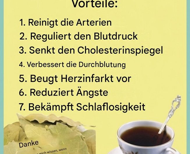 Lorbeerblätter: Das unterschätzte Gewürz mit überraschenden Wirkungen – was wirklich dahinter steckt