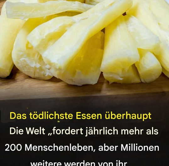 „Das tödlichste Lebensmittel der Welt?“ – Warum Millionen Menschen täglich Maniok essen und was wirklich dahinter steckt
