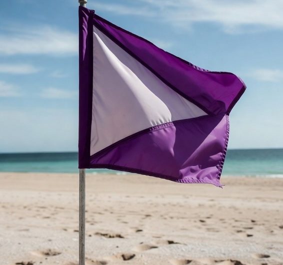 Die lila Flagge am Strand: Was sie wirklich bedeutet (und warum ich plötzlich genauer hinsah)