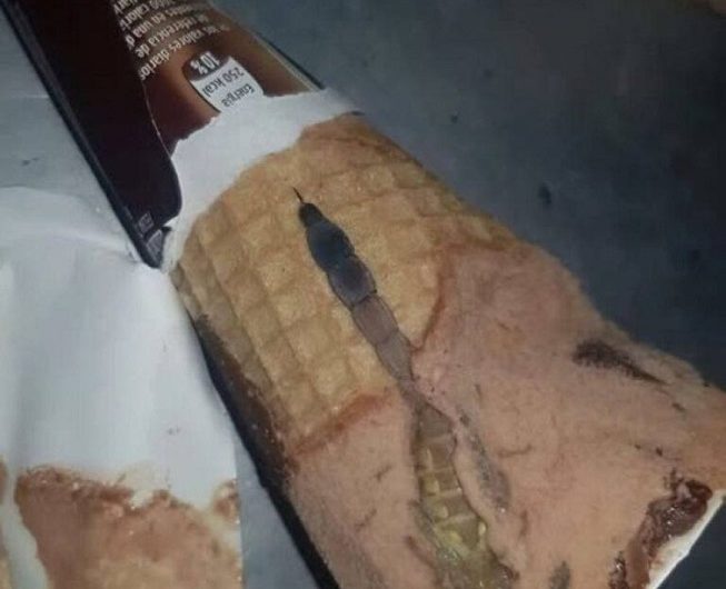 Meine Tochter öffnete ihre Lieblings-Eiswaffel – wenige Minuten später standen wir sprachlos in der Küche