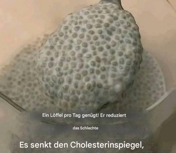 Jeden Morgen nur 1 Löffel – warum dieses einfache Lebensmittel so viele Menschen wiederentdecken