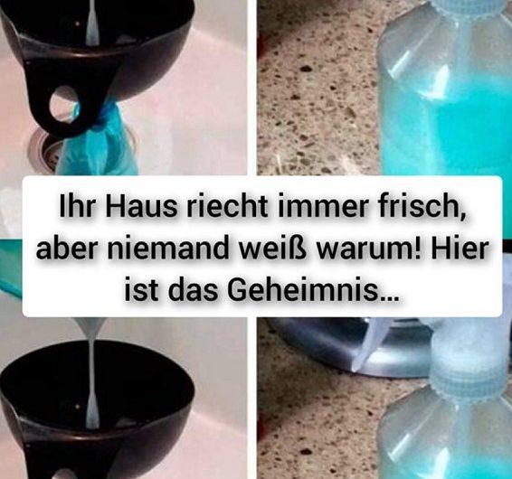 Ihr Haus riecht immer frisch, aber niemand weiß warum! Hier ist das einfache Geheimnis für einen angenehmen Duft im ganzen Zuhause